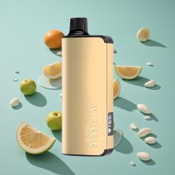 Alibarbar Ingot 9000 Puffs Engangs Vape Kjølig Mynte med 22ml E-væske og 2350mAh Batteri